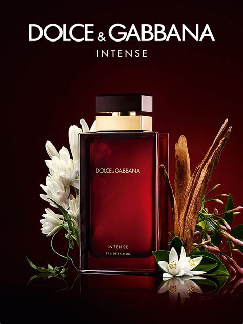 dolce gabbana cinquantenni|dolce gabbana intense neroli.